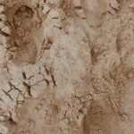 Rodzaje rajstop damskich: wybierz najlepsze dla siebie