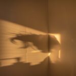 Moda z nylonu: Trendy ubrania dla miłośników miejskiego stylu