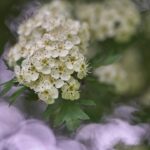 Jak ubrać się na wieczór panieński?